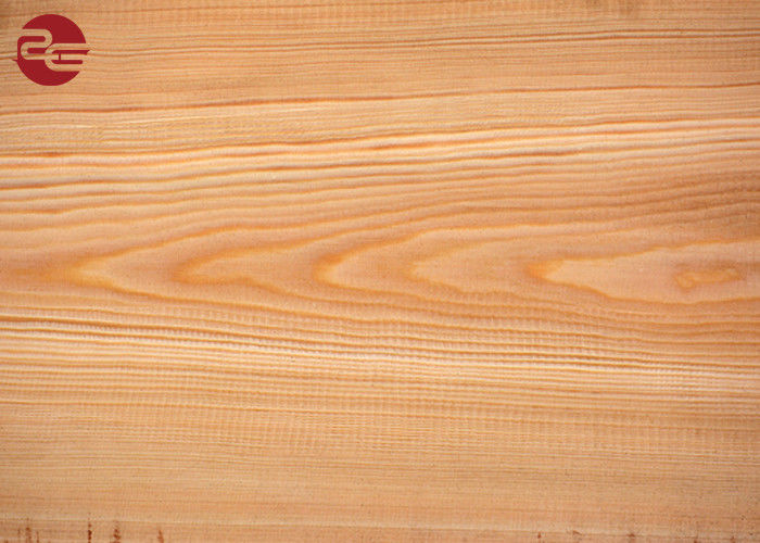 Colori morbidi/duri di Ral hanno preverniciato la bobina d'acciaio per coprire lo spessore 0.12mm